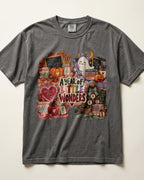 A Year Of Little Wonders Kindergarten Teacher Shirt
